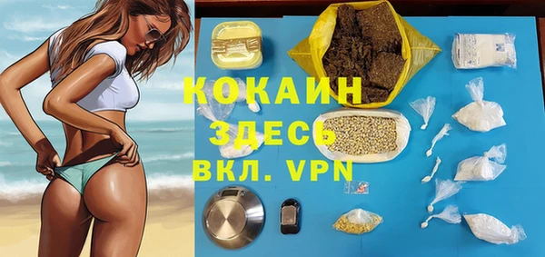 каннабис Корсаков