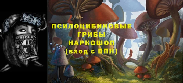 spice Алексин